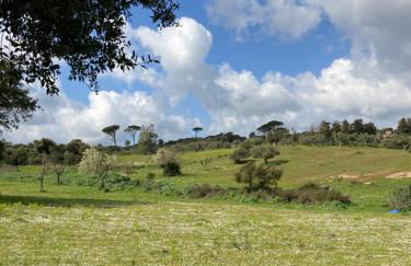 Agriturismo Is Conchisceddas - Foto 65