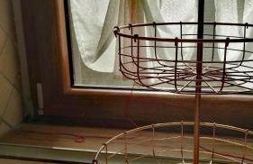 Oasi delle Gazze - Foto 6