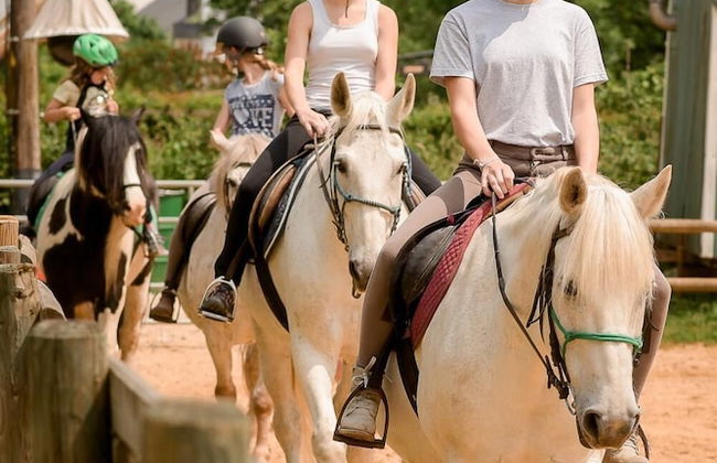 Nengshof - Haus Wildrose - Photo 20