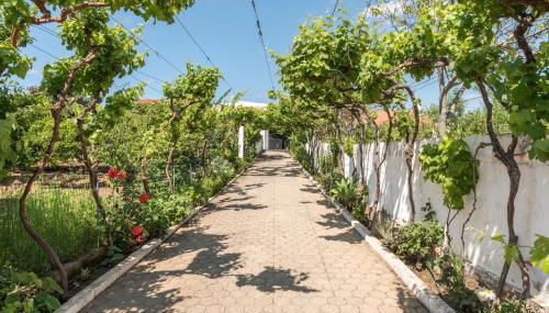 Villa Sao Miguel - Armacao de Pera - Foto 4, Garden