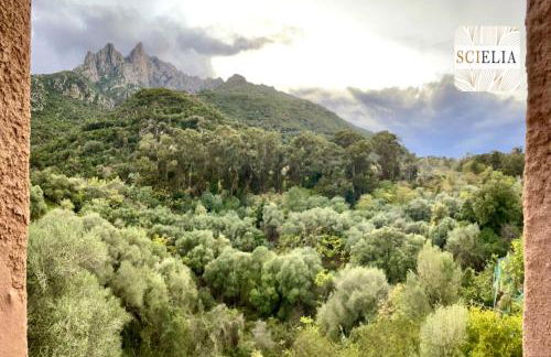 Chez Françoise - Foto 19