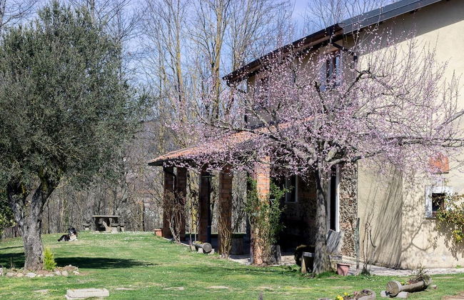 La Rosa Nel Bicchiere - Foto 48