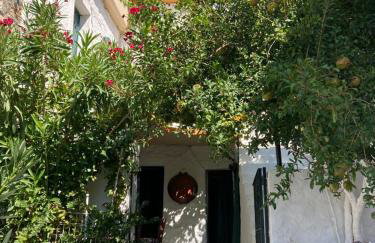 Melissa Apartments - Photo 6