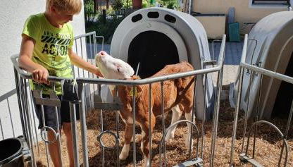 Stefanutti-Hof - Photo 4