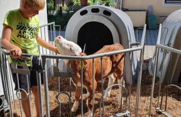 Stefanutti-Hof - Photo 4