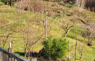 Agriturismo La Collina delle Api - Foto 40