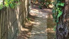 La Casa del mare - Photo 4, Garden