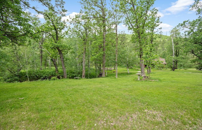 Brookview Place 4BR Near Mount Rushmore - Photo 31