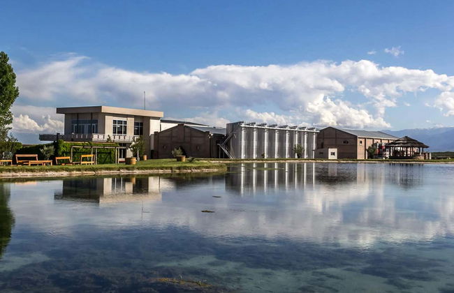 Tour privado pelas adegas do Vale do Uco - Foto 11