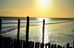 Eine schöne 3-Zimmer-Wohnung mit Ostsee-Zugang! - Foto 19