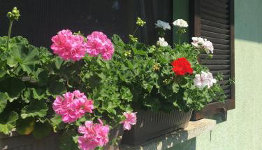 Holiday Home Mađerka - Foto 2