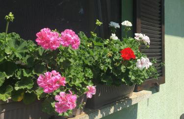 Holiday Home Mađerka - Foto 2