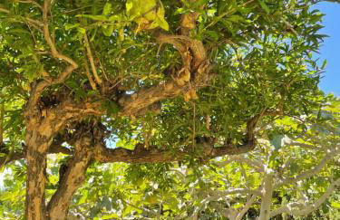 Villa Ladera Panorama - private heated pool - Foto 32