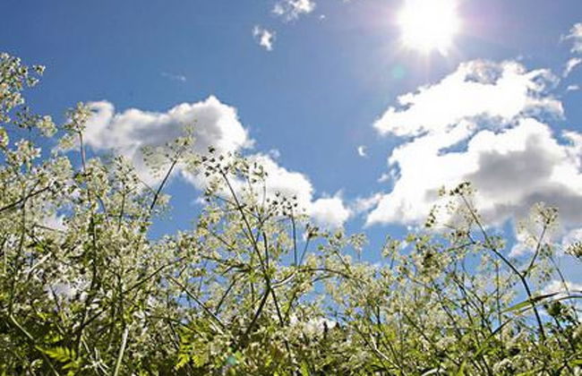 Kultaranta - Foto 24