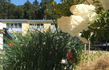 Ostsee-Ferienwohnung Uhlnüst Graal-Müritz - Foto 12