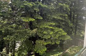 Forest cottage top of the world - Foto 49