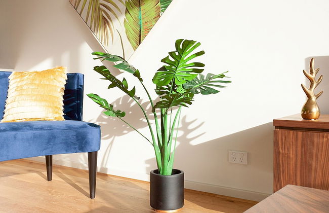 KULA North Sydney - Photo 73