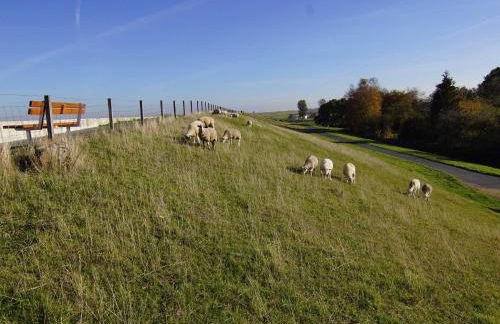 Ferienwohnung Achter`d Diek, 45183 - Foto 6