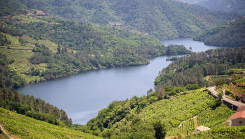 Casa Visita Ribeira Sacra - Foto 2