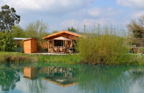 Welhams Meadow Holiday Lodges - Foto 3