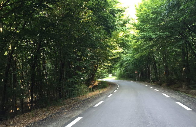 Lovely 4-bed House in Kosti - Foto 23