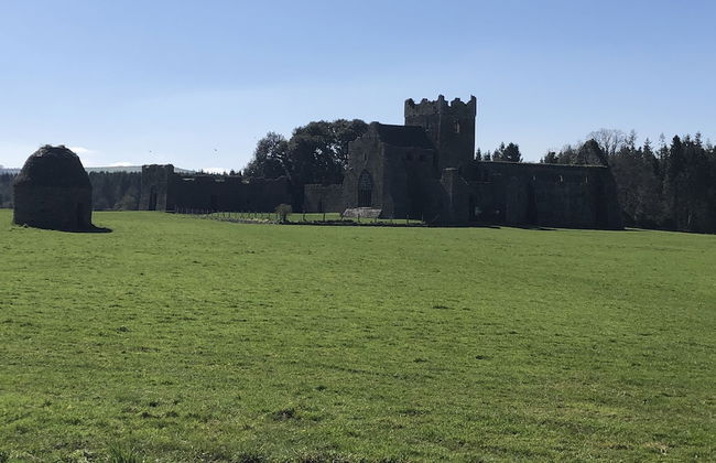 The Lodge - Rural Tipperary Bordering Kilkenny - Photo 10