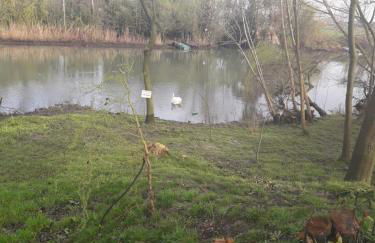 Tenuta Crescentini-ValleMura ,appartamenti con entrata indipendente - Foto 60