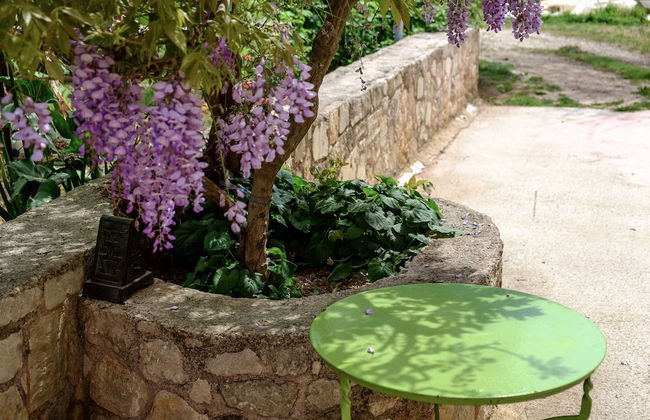 Traditional Elegant Cretan Mansion - Foto 40