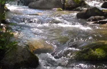 El Mirador - Photo 33