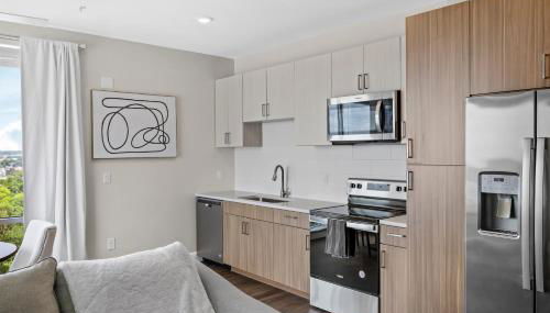 The Malibu Suite Penthouse The Gulch - Foto 5, stove, dishwasher, pet friendly, minibar