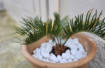 PIERI HOUSE CORFU - Foto 12