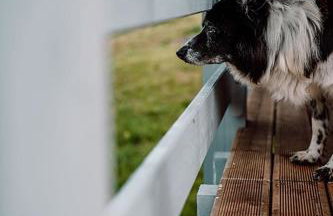 DOMEK NIEBIESKI W BESKIDZIE MAŁYM - Foto 50