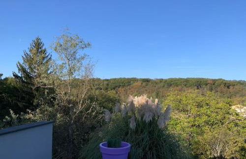 Studio Campus grandes Écoles Techlid Interpole - Foto 14