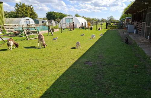 Mardi Gras, Upwell - Foto 35