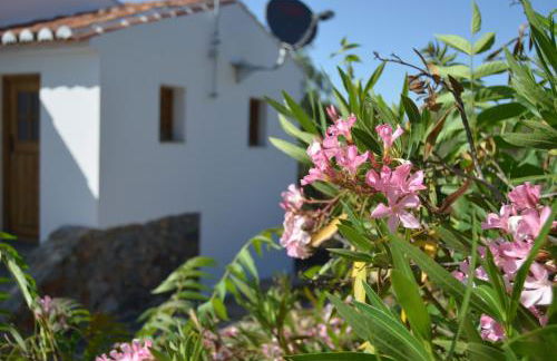 Casa do Pássaro - Foto 40