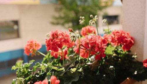 Casilla's House en Indautxu - Foto 3