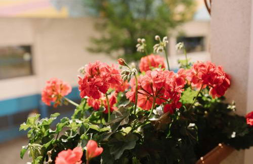 Casilla's House en Indautxu - Foto 3