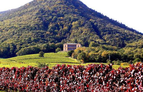 Ferienwohnung in ruhigem Viertel - Foto 22