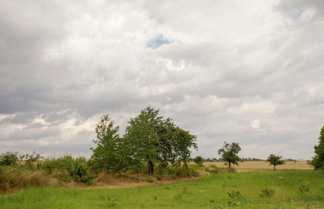 Welcoming Apartment in Meisdorf Near Nightlife - Foto 55