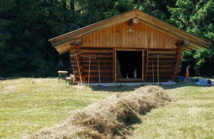 Haus Sonnenruh - Foto 30