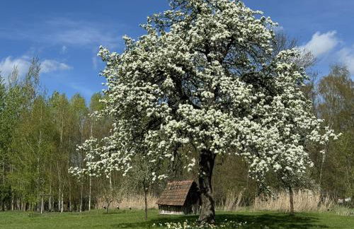 Fontanehof - Foto 43