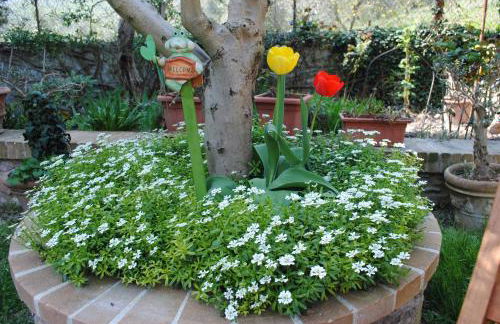 Villa Le Casaline - Foto 18