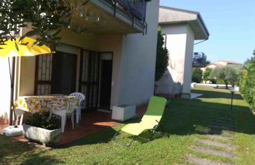 Prato Verde - Girasole - Foto 28