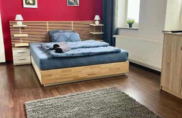 Großes 1 Zimmer Apartment - Foto 1