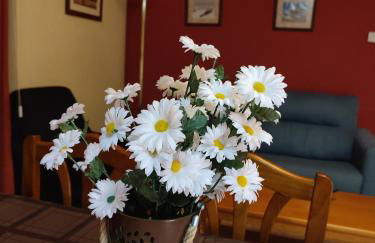 Apartamentos Casa Modesto - Foto 56