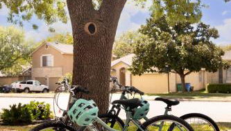 Modern Retreat Near Domain with Game Room and Gym - Foto 2