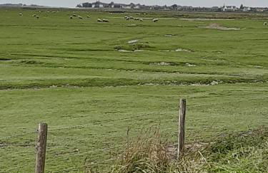 Les Obiones, vue latérale mer, Fort Mahon Plage, magnifique studio cabine 4p, avec balcon , parking privé gratuit, wifi, classé 2 étoiles, exposition plein sud en Baie de Somme - Foto 43