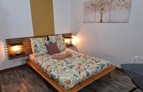 Bords de Loire hypercentre Orléans 2 personnes - Photo 7