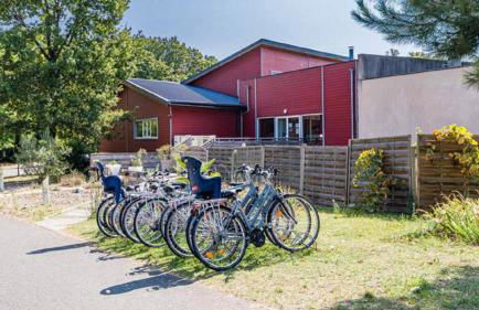 Richelieu et les mille châteaux - Foto 36