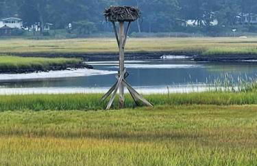 Great Hammock Getaway - Foto 62